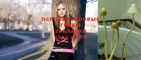 спайс Алзамай