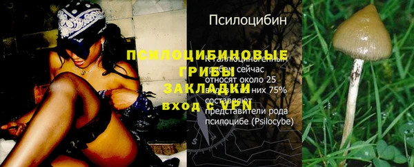 PSILOCYBIN Алексеевка