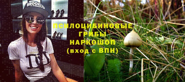 амф Абдулино