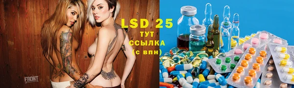 спайс Алзамай