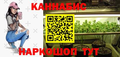 индика Дубна