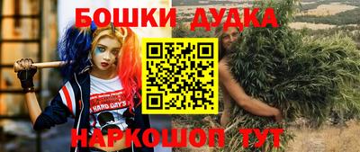 индика Донской