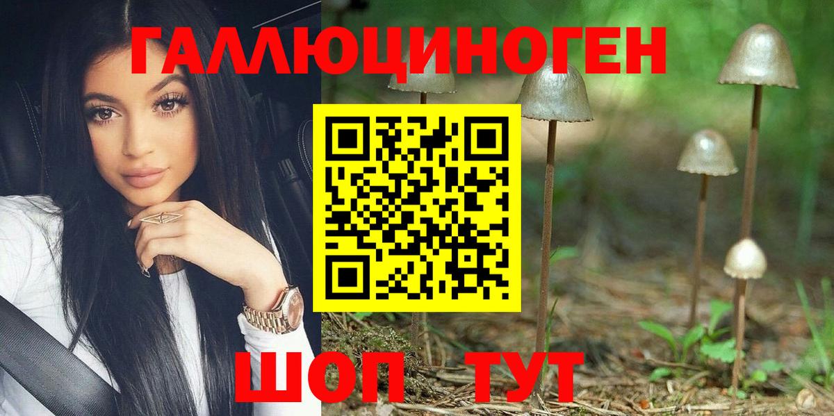 Новоалександровск  хочу наркоту  Вход с VPN  Галлюциногенные грибы Magic Shrooms  Псилоцибиновые грибы прущие грибы 