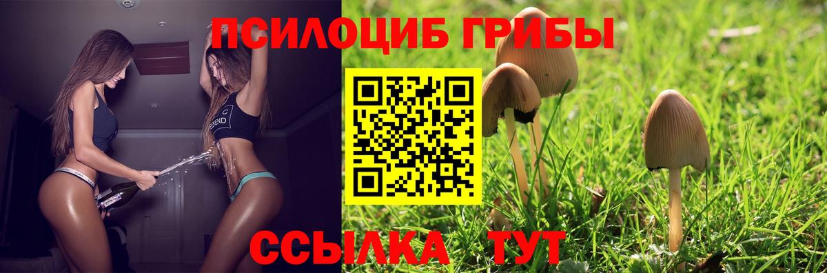 Псилоцибиновые грибы MAGIC MUSHROOMS Новоалександровск